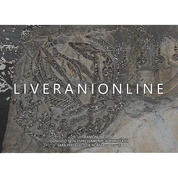 (110428) -- ZHENGZHOU, April 28, 2011 () -- Photo taken on April 28, 2011, shows a statue of flying Apsaras in the Gongyi Grotto Temple in Gongyi City of Zhengzhou, central China\'s Henan Province. The Gongyi Grotto Temple, caved by the royal family of the North Wei Dynasty (386-557), has five existing grottoes and 7,743 Buddha statues. The grotto temple has become a tourist site along the Yellow River after receiving restoration and proper protection. (/Zhao Peng) (llp) Zhengzhou Foto scattata il 28 aprile 2011, mostra due statue di Buddha nella Grotta Gongyi Tempio di Gongyi cittˆ di Zhengzhou, Il tempio grotta  diventata una localitˆ turistica lungo il Fiume Giallo, dopo aver ricevuto il restauro e la protezione adeguata. AG. ALDO LIVERANI SAS ITALY ONLY *** Local Caption *** .