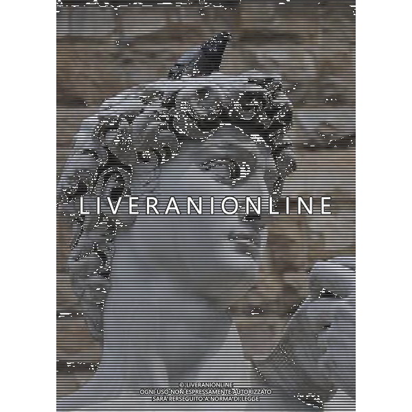 FLORENCE, May 6, 2011 A pigeon rests on the Sculpture of David in front of the Old Palace, or Palazzo Vecchio, in Florence, central Italy, May 4, 2011. Florence is the capital city of the Italian region of Tuscany and the symbol of the Renaissance. UNESCO inscribed the historic center of Florence in the World Heritage List in 1982. (/Wang Qingqin) (lyx) VEDUTE DELLA CITTA DI FIRENZE AG ALDO LIVERANI ONLY ITALY