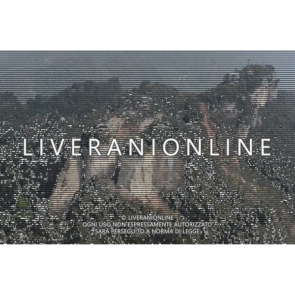 CHENGDU, May 10, 2011 The bird view photo taken on April 10, 2011 shows the scenic area of Doutuan Moutain which is under reconstruction in Jiangyou City, southwest China\'s Sichuan Province. Mu Hong, vice director of China\'s National Development and Reform Commission, on Tuesday said 95 percent of the post quake reconstruction projects have been completed so far in the areas hit by a devastating earthquake three years ago. According to the country\'s general reconstruction plan, the rebuilding in the quake zones is expected to be fully completed by the end of September, Mu Hong said. The devastating quake centered in Wenchuan County in southwestern Sichuan on May 12, 2008 left 87,000 people dead or missing and millions homeless. (/Chen Xie) (zhs) CHENGDU, 10 maggio 2011 La fotografia vista uccello preso il 24 Aprile 2011 mostra Erwang Tempio che  in fase di ricostruzione a Dujiangyan City nel sud-ovest della Cina nella provincia del Sichuan. AG. ALDO LIVERANI SAS ITALY ONLY *** Local Caption *** .