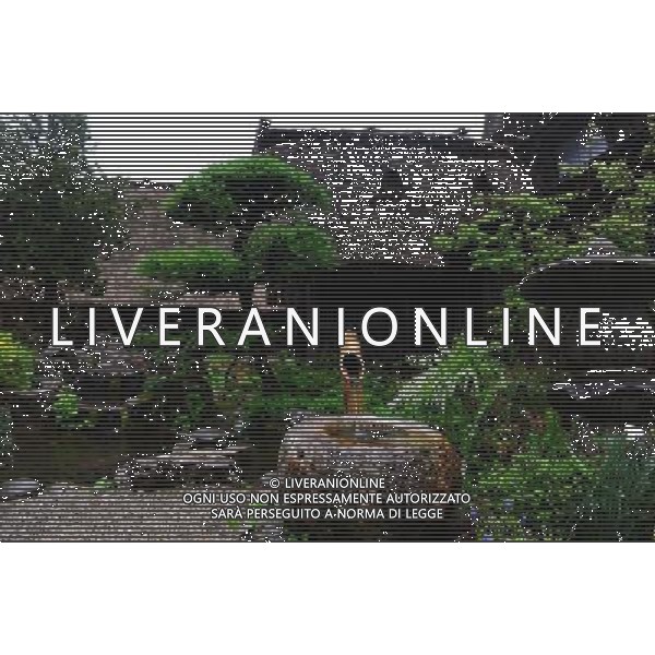 GIFU, May 10, 2011 This photo taken on May 10, 2011 shows the houses of a gassho zukuri village in Shirakawa go, Gifu Prefecture, Japan. Gassho zukuri village in Shirakawa go is one of Japan\'s UNESCO World Heritage Sites. The village is well known for its houses constructed in architectural style known as gassho zukuri, which means prayer hands construction. This style is characterized by a thatched and steeply slanting roof resembling two hands joined in prayer. The design is strong and, in combination with the unique properties of the thatching, allow the houses to withstand and shed the weight of the region\'s heavy snowfalls in winter.(/Ji Chunpeng) (msq) Gifu le case di un villaggio gassho zukuri in Shirakawa , Prefettura di Gifu, in Giappone. Villaggio Gassho zukuri in Shirakawa Go  stato dichiarato dall\'UNESCO Patrimonio dell\'Umanitˆ AG.ALDO LIVERANI SAS ITALY ONLY *** Local Caption *** .