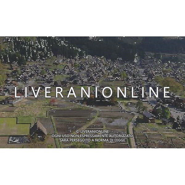 GIFU, May 10, 2011 This photo taken on May 9, 2011 shows the panorama of a gassho zukuri village in Shirakawa go, Gifu Prefecture, Japan. Gassho zukuri village in Shirakawa go is one of Japan\'s UNESCO World Heritage Sites. The village is well known for its houses constructed in architectural style known as gassho zukuri, which means prayer hands construction. This style is characterized by a thatched and steeply slanting roof resembling two hands joined in prayer. The design is strong and, in combination with the unique properties of the thatching, allow the houses to withstand and shed the weight of the region\'s heavy snowfalls in winter.(/Ji Chunpeng) (msq) Gifu le case di un villaggio gassho zukuri in Shirakawa , Prefettura di Gifu, in Giappone. Villaggio Gassho zukuri in Shirakawa Go  stato dichiarato dall\'UNESCO Patrimonio dell\'Umanitˆ AG.ALDO LIVERANI SAS ITALY ONLY *** Local Caption *** .