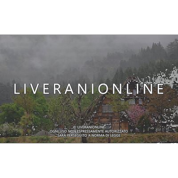 GIFU, May 10, 2011 This photo taken on May 10, 2011 shows the houses of a gassho zukuri village in Shirakawa go, Gifu Prefecture, Japan. Gassho zukuri village in Shirakawa go is one of Japan\'s UNESCO World Heritage Sites. The village is well known for its houses constructed in architectural style known as gassho zukuri, which means prayer hands construction. This style is characterized by a thatched and steeply slanting roof resembling two hands joined in prayer. The design is strong and, in combination with the unique properties of the thatching, allow the houses to withstand and shed the weight of the region\'s heavy snowfalls in winter.(/Ji Chunpeng) (msq) Gifu le case di un villaggio gassho zukuri in Shirakawa , Prefettura di Gifu, in Giappone. Villaggio Gassho zukuri in Shirakawa Go  stato dichiarato dall\'UNESCO Patrimonio dell\'Umanitˆ AG.ALDO LIVERANI SAS ITALY ONLY *** Local Caption *** .