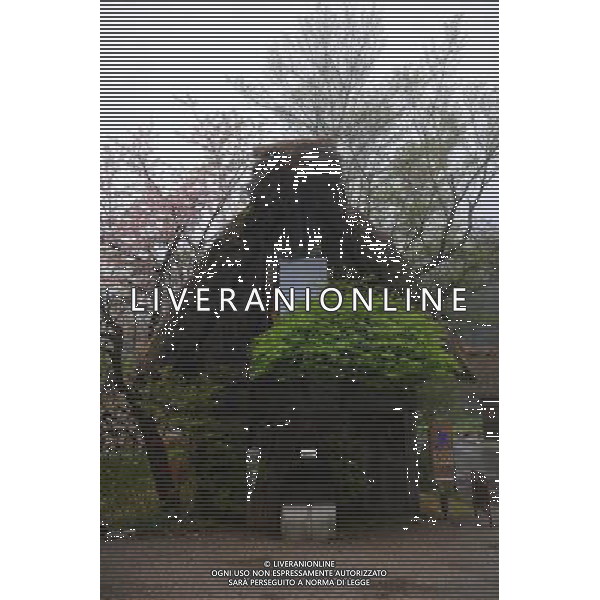GIFU, May 10, 2011 This photo taken on May 10, 2011 shows a house of a gassho zukuri village in Shirakawa go, Gifu Prefecture, Japan. Gassho zukuri village in Shirakawa go is one of Japan\'s UNESCO World Heritage Sites. The village is well known for its houses constructed in architectural style known as gassho zukuri, which means prayer hands construction. This style is characterized by a thatched and steeply slanting roof resembling two hands joined in prayer. The design is strong and, in combination with the unique properties of the thatching, allow the houses to withstand and shed the weight of the region\'s heavy snowfalls in winter.(/Ji Chunpeng) (msq) Gifu le case di un villaggio gassho zukuri in Shirakawa , Prefettura di Gifu, in Giappone. Villaggio Gassho zukuri in Shirakawa Go  stato dichiarato dall\'UNESCO Patrimonio dell\'Umanitˆ AG.ALDO LIVERANI SAS ITALY ONLY *** Local Caption *** .