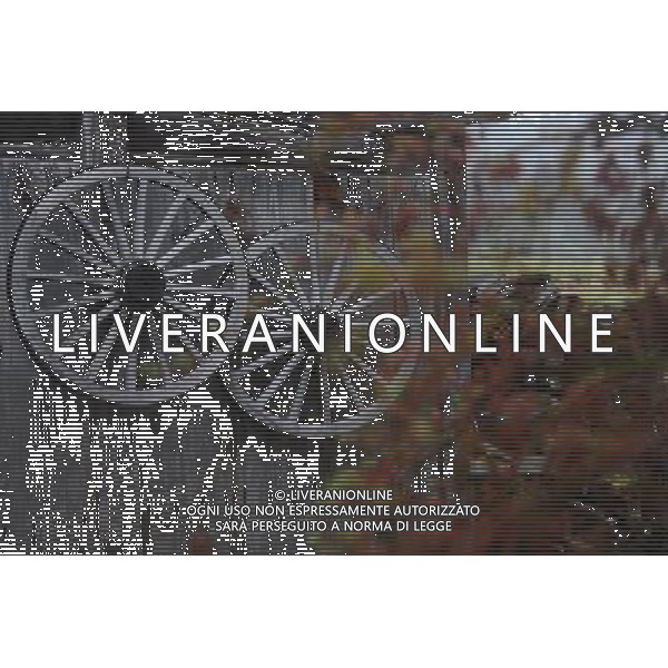 GIFU, May 10, 2011 Traditional farm implements are hung outside a house of gassho zukuri village in Shirakawa go, Gifu Prefecture, Japan, May 10, 2011. Gassho zukuri village in Shirakawa go is one of Japan\'s UNESCO World Heritage Sites. The village is well known for its houses constructed in architectural style known as gassho zukuri, which means prayer hands construction. This style is characterized by a thatched and steeply slanting roof resembling two hands joined in prayer. The design is strong and, in combination with the unique properties of the thatching, allow the houses to withstand and shed the weight of the region\'s heavy snowfalls in winter.(/Ji Chunpeng) (msq) Gifu le case di un villaggio gassho zukuri in Shirakawa , Prefettura di Gifu, in Giappone. Villaggio Gassho zukuri in Shirakawa Go  stato dichiarato dall\'UNESCO Patrimonio dell\'Umanitˆ AG.ALDO LIVERANI SAS ITALY ONLY *** Local Caption *** .