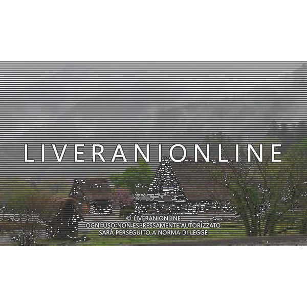 GIFU, May 10, 2011 This photo taken on May 10, 2011 shows the houses of a gassho zukuri village in Shirakawa go, Gifu Prefecture, Japan. Gassho zukuri village in Shirakawa go is one of Japan\'s UNESCO World Heritage Sites. The village is well known for its houses constructed in architectural style known as gassho zukuri, which means prayer hands construction. This style is characterized by a thatched and steeply slanting roof resembling two hands joined in prayer. The design is strong and, in combination with the unique properties of the thatching, allow the houses to withstand and shed the weight of the region\'s heavy snowfalls in winter.(/Ji Chunpeng) (msq) Gifu le case di un villaggio gassho zukuri in Shirakawa , Prefettura di Gifu, in Giappone. Villaggio Gassho zukuri in Shirakawa Go  stato dichiarato dall\'UNESCO Patrimonio dell\'Umanitˆ AG.ALDO LIVERANI SAS ITALY ONLY *** Local Caption *** .