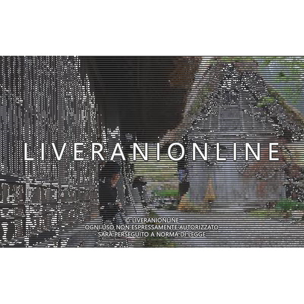 GIFU, May 10, 2011 An elder sits at the door of a house in the gassho zukuri village in Shirakawa go, Gifu Prefecture, Japan, May 10, 2011. Gassho zukuri village in Shirakawa go is one of Japan\'s UNESCO World Heritage Sites. The village is well known for its houses constructed in architectural style known as gassho zukuri, which means prayer hands construction. This style is characterized by a thatched and steeply slanting roof resembling two hands joined in prayer. The design is strong and, in combination with the unique properties of the thatching, allow the houses to withstand and shed the weight of the region\'s heavy snowfalls in winter.(/Ji Chunpeng) (msq) Gifu le case di un villaggio gassho zukuri in Shirakawa , Prefettura di Gifu, in Giappone. Villaggio Gassho zukuri in Shirakawa Go  stato dichiarato dall\'UNESCO Patrimonio dell\'Umanitˆ AG.ALDO LIVERANI SAS ITALY ONLY *** Local Caption *** .