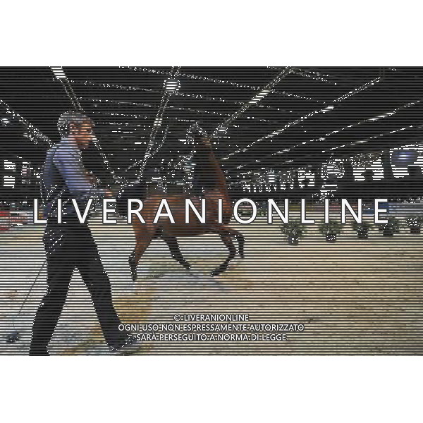 (110514) -- VIENNA, May 14, 2011 () -- A horse trainer leads a horse during the competition of the Pure Arabian Horse Championship at the PFERD Wels - International Horse Fair in Wels, Austria, May 14, 2011. (/Xu Liang) (zw) ©photoshot/Agenzia Aldo Liverani Sas - ITALY ONLY - Spettacolo ed esibizione equestre durante la Wels PFERD - Fiera Internazionale del Cavallo a Wels, Austria, 14 maggio 2011.