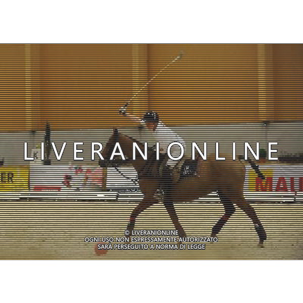 (110514) -- VIENNA, May 14, 2011 () -- A poloist shows skills during the PFERD Wels - International Horse Fair in Wels, Austria, May 14, 2011. (/Xu Liang) (zw) ©photoshot/Agenzia Aldo Liverani Sas - ITALY ONLY - Spettacolo ed esibizione equestre durante la Wels PFERD - Fiera Internazionale del Cavallo a Wels, Austria, 14 maggio 2011.