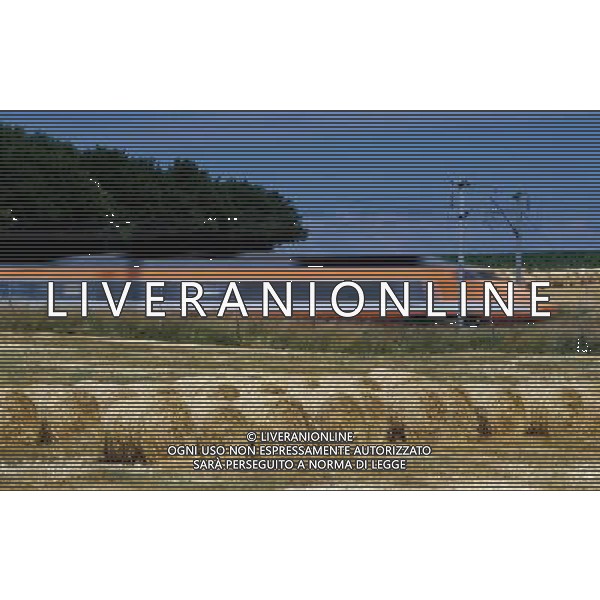 NELLA FOTO AGRICOLTURA VARIA BALLE FIENO AGENZIA ALDO LIVERANI IFC