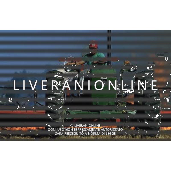 NELLA FOTO AGRICOLTURA VARIA-TRATTORI AGENZIA ALDO LIVERANI IFC