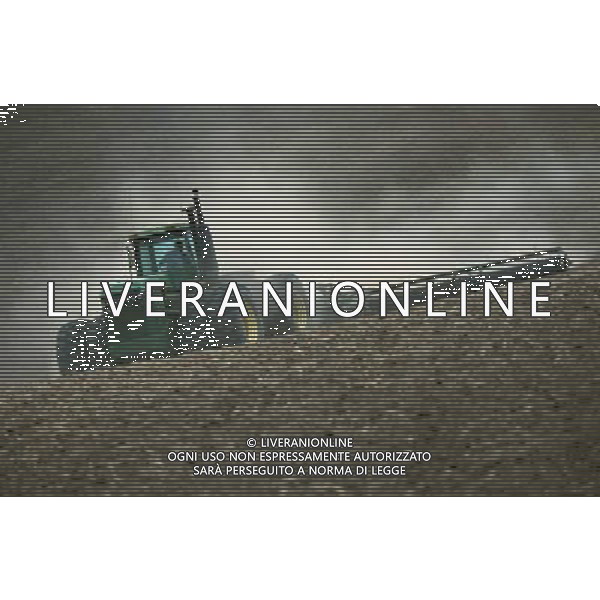 NELLA FOTO AGRICOLTURA VARIA-TRATTORI AGENZIA ALDO LIVERANI IFC