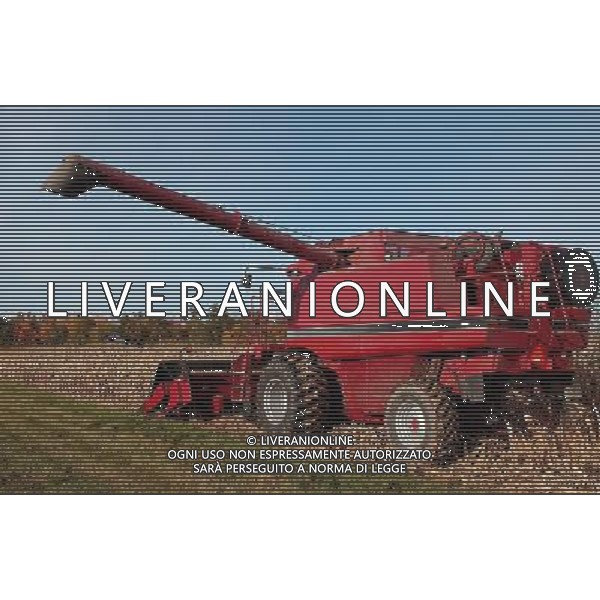 NELLA FOTO AGRICOLTURA VARIA AGENZIA ALDO LIVERANI IFC
