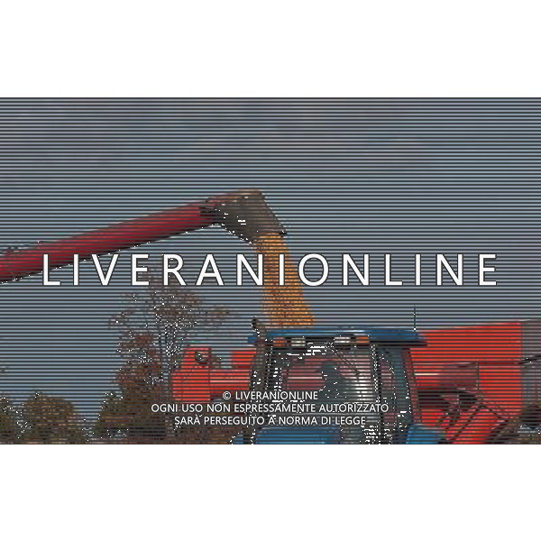 NELLA FOTO AGRICOLTURA VARIA AGENZIA ALDO LIVERANI