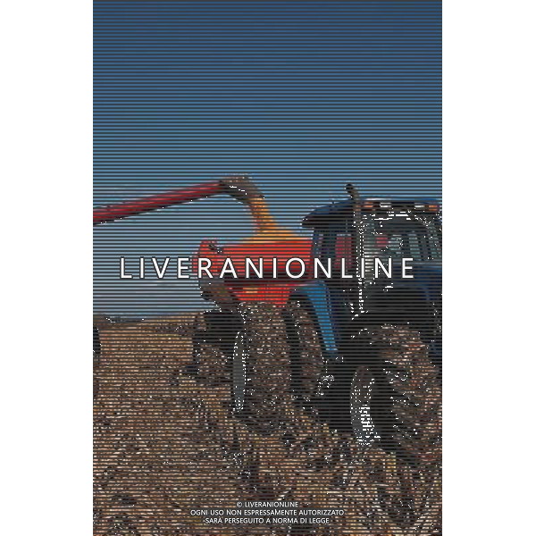 NELLA FOTO AGRICOLTURA VARIA AGENZIA ALDO LIVERANI