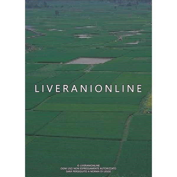 NELLA FOTO AGRICOLTURA VARIA AGENZIA ALDO LIVERANI IFC