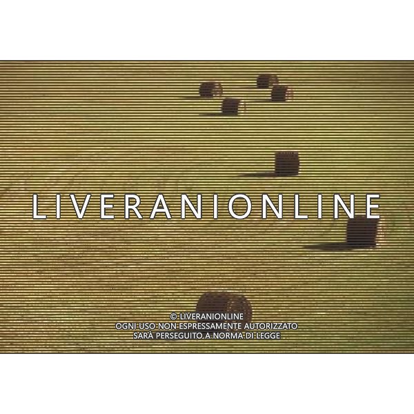 NELLA FOTO AGRICOLTURA VARIA-BALE DI FIENO AGENZIA ALDO LIVERANI IFC
