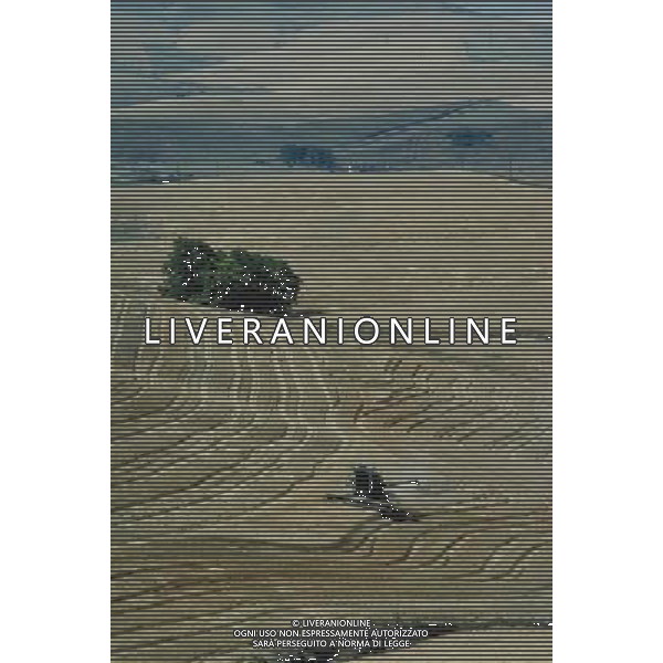 NELLA FOTO AGRICOLTURA VARIA AGENZIA ALDO LIVERANI IFC