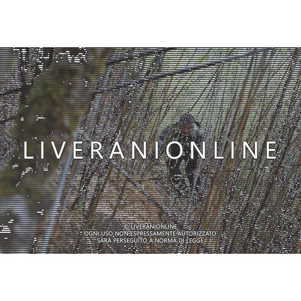 (110517) -- BEIJING, May 17, 2011 () -- Dawa, a villager of Lhoba ethnic group collects herbal medicine in a bamboo forest on a mountain in Qionglin Village of Nanyi Lhoba Ethnic Township, in Mainling County of southwest China\'s Tibet Autonomous Region (TAR), May 12, 2011. Located at the foot of snow-peaked mountains near the south border between China and India, the Nanyi Township of Qionglin Village, a tranquil and picturesque place, is inhabited by people of Lhoba ethnic group. With a total of 2900 people, Lhoba ethnic group is the smallest among China\'s 56 ethnic groups in term of population. The family of forty-six-year-old Ma Ya is one of the 30 Lhoba households in the village. They live in a two-storeyed house with many modern devices like television, washing machine, refrigerator, etc. In 2008, his family opened a household inn when Qionglin Village set up a scenic area. Their family inn soon went popular among tourists, and earned them about 6,000 yuan (922 U. S. dollars) per month at the tourism peak season from June to October. Yet just 50 years ago, before Ma Ya\'s birth, his father and grandfather still lived in the wood, depending mainly on hunting with bows and arrows, in the very form of a primitive society. As few knew their existence in the wildest nature, they were dubbed as \'the tribe of mystery\'. In the 1960s, after the peaceful liberation of Tibet, Ma Ya\'s father and some other Lhoba people moved out of the wood and settled on a land offered by the local government. By 1985, all the Lhoba people of the village have moved into free dwelling houses and started to breed livestock provided by the government, thus marking the brand-new start of their modern life. Instead of hunting and logging, their previous livelihood, local villagers of Lhoba now earn their living on stockbreeding, bamboo weaving, herbal medicine picking, and tourism. Under the benefits of many national policies preferential for minority groups, the annual income p Situato ai piedi delle montagne innevate, vicino al confine meridionale tra la Cina e l\'India, il Comune di Nanyi Qionglin Village, un luogo pittoresco e tranquillo, abitato da persone del gruppo etnico Lhoba. Con un totale di 2900 persone, il gruppo etnico Lhoba  il pi piccolo dei 56 gruppi etnici in termini di popolazione in Cina Etnie - Vita - Rurali - AG. ALDO LIVERANI SAS ITALY ONLY *** Local Caption *** .