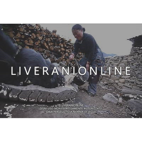 (110517) -- BEIJING, May 17, 2011 () -- Ya Niang feed her pigs at the hogpen of her house in Qionglin Village of Nanyi Lhoba Ethnic Township, in Mainling County of southwest China\'s Tibet Autonomous Region (TAR), May 11, 2011. Located at the foot of snow-peaked mountains near the south border between China and India, the Nanyi Township of Qionglin Village, a tranquil and picturesque place, is inhabited by people of Lhoba ethnic group. With a total of 2900 people, Lhoba ethnic group is the smallest among China\'s 56 ethnic groups in term of population. The family of forty-six-year-old Ma Ya is one of the 30 Lhoba households in the village. They live in a two-storeyed house with many modern devices like television, washing machine, refrigerator, etc. In 2008, his family opened a household inn when Qionglin Village set up a scenic area. Their family inn soon went popular among tourists, and earned them about 6,000 yuan (922 U. S. dollars) per month at the tourism peak season from June to October. Yet just 50 years ago, before Ma Ya\'s birth, his father and grandfather still lived in the wood, depending mainly on hunting with bows and arrows, in the very form of a primitive society. As few knew their existence in the wildest nature, they were dubbed as \'the tribe of mystery\'. In the 1960s, after the peaceful liberation of Tibet, Ma Ya\'s father and some other Lhoba people moved out of the wood and settled on a land offered by the local government. By 1985, all the Lhoba people of the village have moved into free dwelling houses and started to breed livestock provided by the government, thus marking the brand-new start of their modern life. Instead of hunting and logging, their previous livelihood, local villagers of Lhoba now earn their living on stockbreeding, bamboo weaving, herbal medicine picking, and tourism. Under the benefits of many national policies preferential for minority groups, the annual income per capita of Nanyi Township reached 5760 yuan ( Situato ai piedi delle montagne innevate, vicino al confine meridionale tra la Cina e l\'India, il Comune di Nanyi Qionglin Village, un luogo pittoresco e tranquillo, abitato da persone del gruppo etnico Lhoba. Con un totale di 2900 persone, il gruppo etnico Lhoba  il pi piccolo dei 56 gruppi etnici in termini di popolazione in Cina Etnie - Vita - Rurali - AG. ALDO LIVERANI SAS ITALY ONLY *** Local Caption *** .