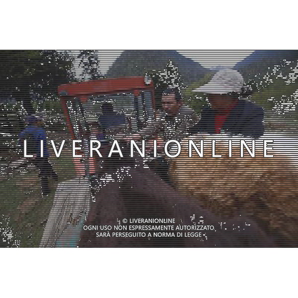 (110517) -- BEIJING, May 17, 2011 () -- Wang Jiu, a villager of Lhoba ethnic group sends cows to a farm by a tractor in Qionglin Village of Nanyi Lhoba Ethnic Township, in Mainling County of southwest China\'s Tibet Autonomous Region (TAR), May 11, 2011. Located at the foot of snow-peaked mountains near the south border between China and India, the Nanyi Township of Qionglin Village, a tranquil and picturesque place, is inhabited by people of Lhoba ethnic group. With a total of 2900 people, Lhoba ethnic group is the smallest among China\'s 56 ethnic groups in term of population. The family of forty-six-year-old Ma Ya is one of the 30 Lhoba households in the village. They live in a two-storeyed house with many modern devices like television, washing machine, refrigerator, etc. In 2008, his family opened a household inn when Qionglin Village set up a scenic area. Their family inn soon went popular among tourists, and earned them about 6,000 yuan (922 U. S. dollars) per month at the tourism peak season from June to October. Yet just 50 years ago, before Ma Ya\'s birth, his father and grandfather still lived in the wood, depending mainly on hunting with bows and arrows, in the very form of a primitive society. As few knew their existence in the wildest nature, they were dubbed as \'the tribe of mystery\'. In the 1960s, after the peaceful liberation of Tibet, Ma Ya\'s father and some other Lhoba people moved out of the wood and settled on a land offered by the local government. By 1985, all the Lhoba people of the village have moved into free dwelling houses and started to breed livestock provided by the government, thus marking the brand-new start of their modern life. Instead of hunting and logging, their previous livelihood, local villagers of Lhoba now earn their living on stockbreeding, bamboo weaving, herbal medicine picking, and tourism. Under the benefits of many national policies preferential for minority groups, the annual income per capita of Nanyi T Situato ai piedi delle montagne innevate, vicino al confine meridionale tra la Cina e l\'India, il Comune di Nanyi Qionglin Village, un luogo pittoresco e tranquillo, abitato da persone del gruppo etnico Lhoba. Con un totale di 2900 persone, il gruppo etnico Lhoba  il pi piccolo dei 56 gruppi etnici in termini di popolazione in Cina Etnie - Vita - Rurali - AG. ALDO LIVERANI SAS ITALY ONLY *** Local Caption *** .