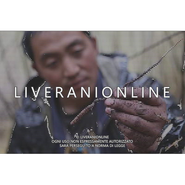 (110517) -- BEIJING, May 17, 2011 () -- Dawa, a villager of Lhoba ethnic group collects herbal medicine in a bamboo forest on a mountain in Qionglin Village of Nanyi Lhoba Ethnic Township, in Mainling County of southwest China\'s Tibet Autonomous Region (TAR), May 12, 2011. Located at the foot of snow-peaked mountains near the south border between China and India, the Nanyi Township of Qionglin Village, a tranquil and picturesque place, is inhabited by people of Lhoba ethnic group. With a total of 2900 people, Lhoba ethnic group is the smallest among China\'s 56 ethnic groups in term of population. The family of forty-six-year-old Ma Ya is one of the 30 Lhoba households in the village. They live in a two-storeyed house with many modern devices like television, washing machine, refrigerator, etc. In 2008, his family opened a household inn when Qionglin Village set up a scenic area. Their family inn soon went popular among tourists, and earned them about 6,000 yuan (922 U. S. dollars) per month at the tourism peak season from June to October. Yet just 50 years ago, before Ma Ya\'s birth, his father and grandfather still lived in the wood, depending mainly on hunting with bows and arrows, in the very form of a primitive society. As few knew their existence in the wildest nature, they were dubbed as \'the tribe of mystery\'. In the 1960s, after the peaceful liberation of Tibet, Ma Ya\'s father and some other Lhoba people moved out of the wood and settled on a land offered by the local government. By 1985, all the Lhoba people of the village have moved into free dwelling houses and started to breed livestock provided by the government, thus marking the brand-new start of their modern life. Instead of hunting and logging, their previous livelihood, local villagers of Lhoba now earn their living on stockbreeding, bamboo weaving, herbal medicine picking, and tourism. Under the benefits of many national policies preferential for minority groups, the annual income p Situato ai piedi delle montagne innevate, vicino al confine meridionale tra la Cina e l\'India, il Comune di Nanyi Qionglin Village, un luogo pittoresco e tranquillo, abitato da persone del gruppo etnico Lhoba. Con un totale di 2900 persone, il gruppo etnico Lhoba  il pi piccolo dei 56 gruppi etnici in termini di popolazione in Cina Etnie - Vita - Rurali - AG. ALDO LIVERANI SAS ITALY ONLY *** Local Caption *** .