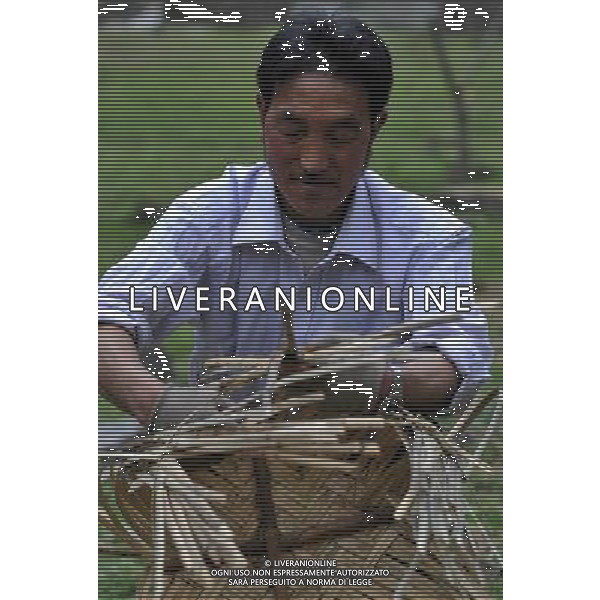 (110517) -- BEIJING, May 17, 2011 () -- Da Lin, a villager of Lhoba ethnic group, weaves a basket with bamboo pieces in Qionglin Village of Nanyi Lhoba Ethnic Township, in Mainling County of southwest China\'s Tibet Autonomous Region (TAR), May 11, 2011. He is one of the few people who knows this traditional Lhoba handicraft. Located at the foot of snow-peaked mountains near the south border between China and India, the Nanyi Township of Qionglin Village, a tranquil and picturesque place, is inhabited by people of Lhoba ethnic group. With a total of 2900 people, Lhoba ethnic group is the smallest among China\'s 56 ethnic groups in term of population. The family of forty-six-year-old Ma Ya is one of the 30 Lhoba households in the village. They live in a two-storeyed house with many modern devices like television, washing machine, refrigerator, etc. In 2008, his family opened a household inn when Qionglin Village set up a scenic area. Their family inn soon went popular among tourists, and earned them about 6,000 yuan (922 U. S. dollars) per month at the tourism peak season from June to October. Yet just 50 years ago, before Ma Ya\'s birth, his father and grandfather still lived in the wood, depending mainly on hunting with bows and arrows, in the very form of a primitive society. As few knew their existence in the wildest nature, they were dubbed as \'the tribe of mystery\'. In the 1960s, after the peaceful liberation of Tibet, Ma Ya\'s father and some other Lhoba people moved out of the wood and settled on a land offered by the local government. By 1985, all the Lhoba people of the village have moved into free dwelling houses and started to breed livestock provided by the government, thus marking the brand-new start of their modern life. Instead of hunting and logging, their previous livelihood, local villagers of Lhoba now earn their living on stockbreeding, bamboo weaving, herbal medicine picking, and tourism. Under the benefits of many national policies Situato ai piedi delle montagne innevate, vicino al confine meridionale tra la Cina e l\'India, il Comune di Nanyi Qionglin Village, un luogo pittoresco e tranquillo, abitato da persone del gruppo etnico Lhoba. Con un totale di 2900 persone, il gruppo etnico Lhoba  il pi piccolo dei 56 gruppi etnici in termini di popolazione in Cina Etnie - Vita - Rurali - AG. ALDO LIVERANI SAS ITALY ONLY *** Local Caption *** .