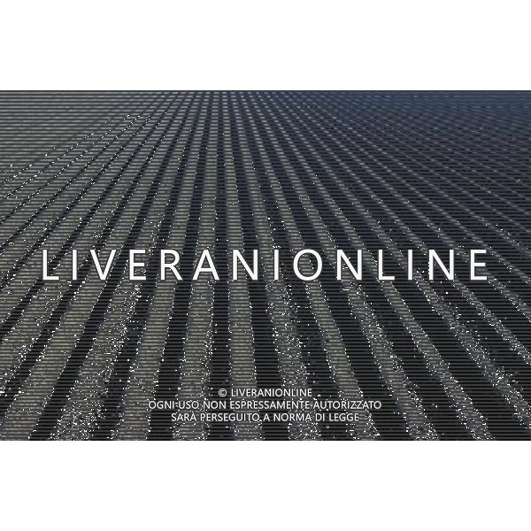NELLA FOTO AGRICOLTURA VARIA AGENZIA ALDO LIVERANI IFC