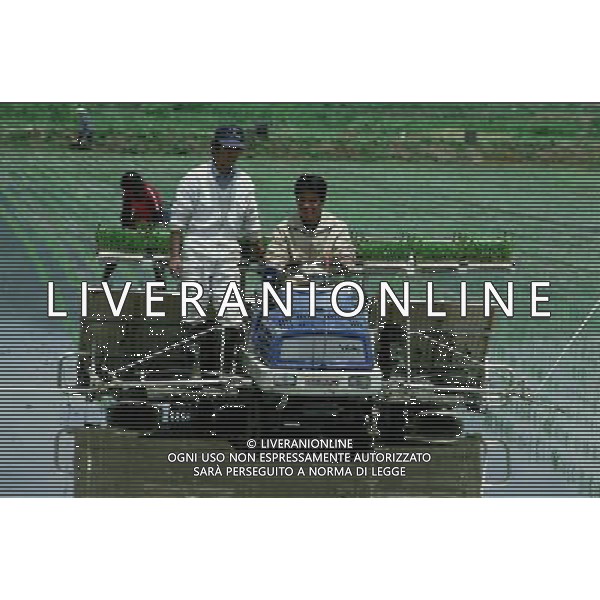 NELLA FOTO AGRICOLTURA VARIA AGENZIA ALDO LIVERANI IFC