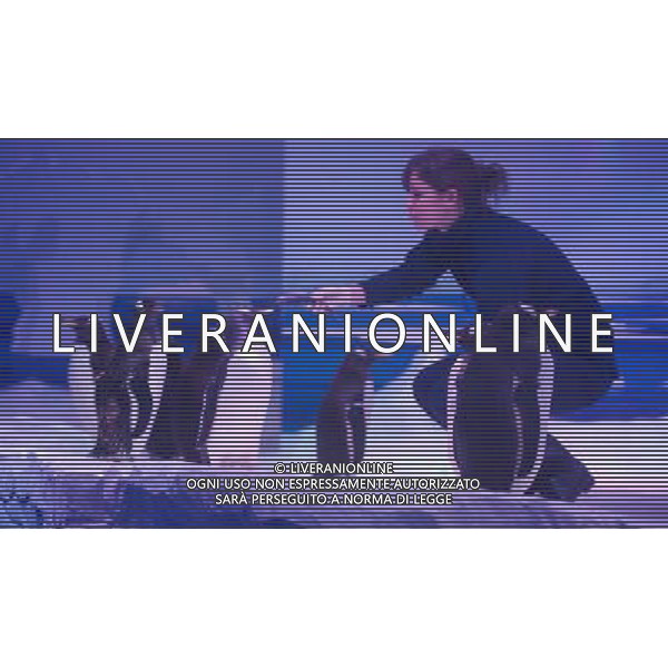 LONDON, UNITED KINGDOM 18 MAY : Pic Shows London Sealife Aquarium launching there new attraction of Gentoo Penguins in the Ice adventure area on May, 18th, 2011 in London, England Sealife Aquarium , apertura della nuova sezione Gentoo Penguins AG. ALDO LIVERANI SAS ITALY ONLY *** Local Caption *** .