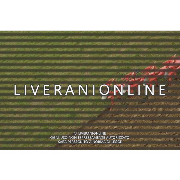 NELLA FOTO AGRICOLTURA VARIA AGENZIA ALDO LIVERANI IFC