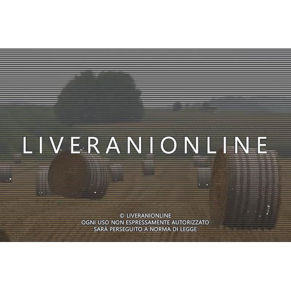 NELLA FOTO AGRICOLTURA VARIA-BALLE DI FIENO AGENZIA ALDO LIVERANI IFC