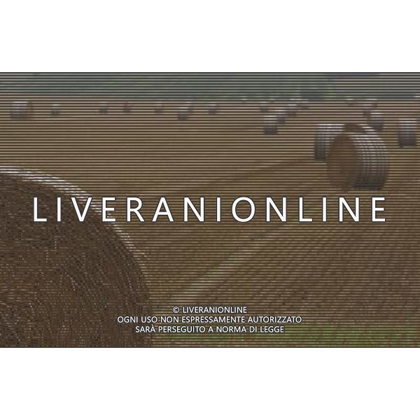 NELLA FOTO AGRICOLTURA VARIA-BALLE DI FIENO AGENZIA ALDO LIVERANI IFC