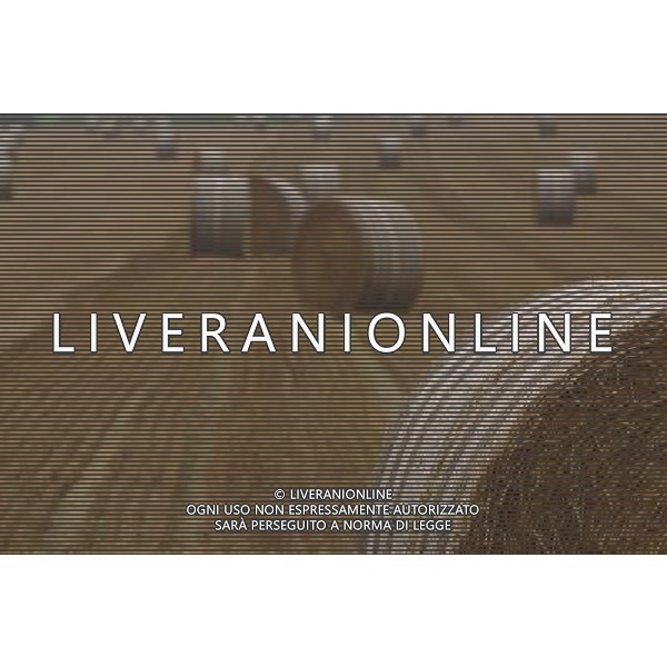 NELLA FOTO AGRICOLTURA VARIA-BALLE DI FIENO AGENZIA ALDO LIVERANI IFC