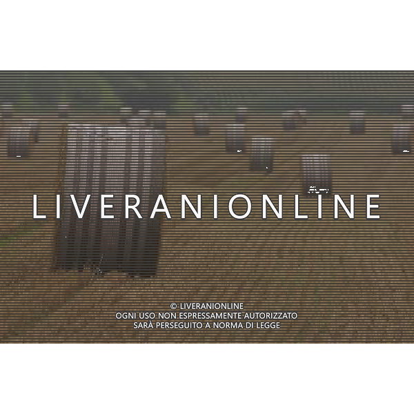 NELLA FOTO AGRICOLTURA VARIA-BALLE DI FIENO AGENZIA ALDO LIVERANI IFC