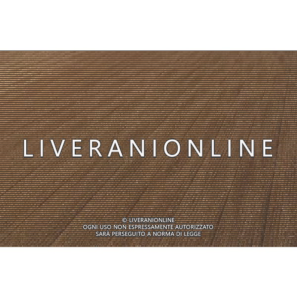 NELLA FOTO AGRICOLTURA VARIA- AGENZIA ALDO LIVERANI IFC