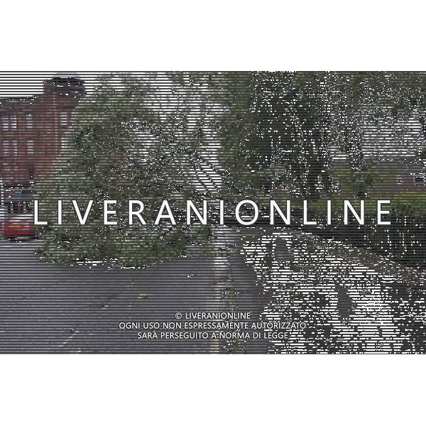 Winds reach up to 80miles a hour in Glasgow Maltempo a Glasgow , con reaffiche di vento tali da abbattere alcuni alberi AG. ALDO LIVERANI SAS ITALY ONLY *** Local Caption *** .