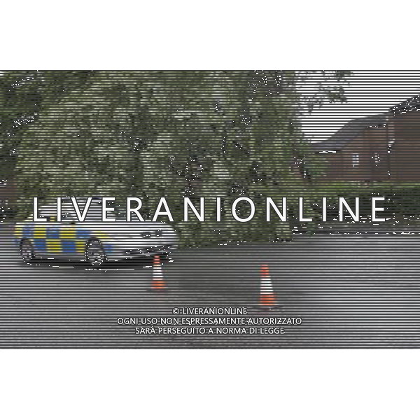 Winds reach up to 80miles a hour in Glasgow Maltempo a Glasgow , con reaffiche di vento tali da abbattere alcuni alberi AG. ALDO LIVERANI SAS ITALY ONLY *** Local Caption *** .