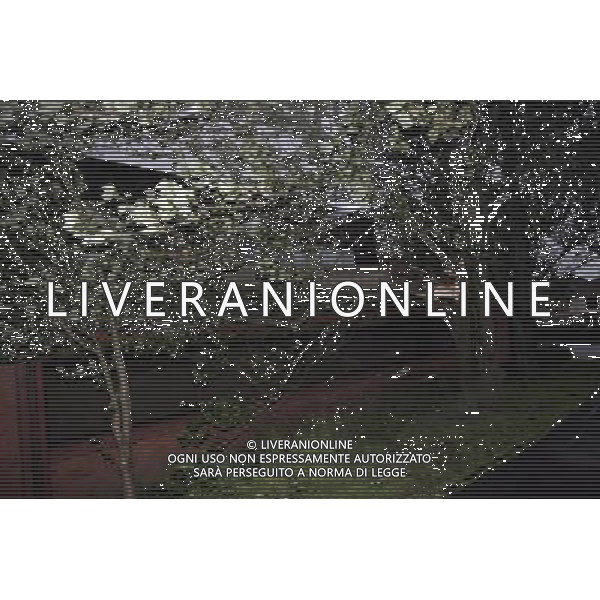 Winds reach up to 80miles a hour in Glasgow Maltempo a Glasgow , con reaffiche di vento tali da abbattere alcuni alberi AG. ALDO LIVERANI SAS ITALY ONLY *** Local Caption *** .