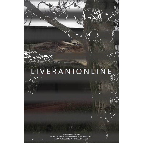 Winds reach up to 80miles a hour in Glasgow Maltempo a Glasgow , con reaffiche di vento tali da abbattere alcuni alberi AG. ALDO LIVERANI SAS ITALY ONLY *** Local Caption *** .