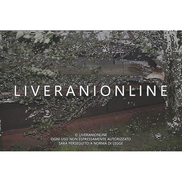 Winds reach up to 80miles a hour in Glasgow Maltempo a Glasgow , con reaffiche di vento tali da abbattere alcuni alberi AG. ALDO LIVERANI SAS ITALY ONLY *** Local Caption *** .
