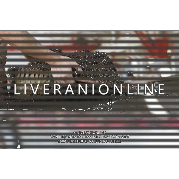 RENHUAI, May 26, 2011 A worker pours ferment materials into a container at a plant of Moutai Co. Ltd. in Maotai Township of Renhuai, southwest China\'s Guizhou Province, May 17, 2011. Maotai is a small town in Renhuai City of Zunyi, southwest China\'s Guizhou Province. Liquor making can be dated back to 2,000 years ago in the small town. There are many anecdotes about the liquor. During the Long March, the Chinese Red Army passed through Maotai Town in 1935, and used the hard liquor to treat the wounds of soldiers. In January 1935, an enlarged meeting of the Political Bureau of the Communist Party of China (CPC) Central Committee was held in Zunyi, the place where Mao Zedong established his authority within the military, marking a turning point for the CPC and paving the way for the success of China\'s revolution. With deep affection to the liquor, Chinese leaders honored Moutai as the national liquor after the founding of the People\'s Republic of China. Moutai liquor was officially used to feast foreign heads of state and distinguished guests visiting China, and was the only alcohol given as official gifts by Chinese embassies in foreign countries. It is said that former U.S. President Richard Nixon was fascinated by Moutai liquor when he visited China in 1972. As China moves from a planned to a market economy, the Moutai brewery has developed into one of China\'s handful of leading liquor producers with conspicuous achievements in modern corporate management and construction of factory facilities. In 2010, the annual output of Moutai liquor topped 26,000 tons. However, the market supply and demand of the liquor is imbalanced because of its special manufacturing techniques. Prices of the liquor range from 1,000 RMB yuan (about 154 U.S. dollars) to more than 10,000 RMB yuan (about 1,541 U.S. dollars) per bottle. In April, a bottle of vintage Moutai was sold for 8.9 million RMB yuan (about 1.37 million U.S. dollars) at an auction in Guizhou, while the price of