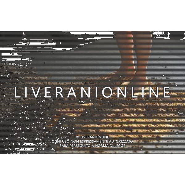 (110526) -- RENHUAI, May 26, 2011 () -- A worker makes \'jiuqu\', a kind of yeast made from wheat, at a plant of Moutai Co. Ltd. in Maotai Township of Renhuai, southwest China\'s Guizhou Province, May 19, 2011. Maotai is a small town in Renhuai City of Zunyi, southwest China\'s Guizhou Province. Liquor-making can be dated back to 2,000 years ago in the small town. There are many anecdotes about the liquor. During the Long March, the Chinese Red Army passed through Maotai Town in 1935, and used the hard liquor to treat the wounds of soldiers. In January 1935, an enlarged meeting of the Political Bureau of the Communist Party of China (CPC) Central Committee was held in Zunyi, the place where Mao Zedong established his authority within the military, marking a turning point for the CPC and paving the way for the success of China\'s revolution. With deep affection to the liquor, Chinese leaders honored Moutai as the national liquor after the founding of the People\'s Republic of China. Moutai liquor was officially used to feast foreign heads of state and distinguished guests visiting China, and was the only alcohol given as official gifts by Chinese embassies in foreign countries. It is said that former U.S. President Richard Nixon was fascinated by Moutai liquor when he visited China in 1972. As China moves from a planned to a market economy, the Moutai brewery has developed into one of China\'s handful of leading liquor producers with conspicuous achievements in modern corporate management and construction of factory facilities. In 2010, the annual output of Moutai liquor topped 26,000 tons. However, the market supply and demand of the liquor is imbalanced because of its special manufacturing techniques. Prices of the liquor range from 1,000 RMB yuan (about 154 U.S. dollars) to more than 10,000 RMB yuan (about 1,541 U.S. dollars) per bottle. In April, a bottle of vintage Moutai was sold for 8.9 million RMB yuan (about 1.37 million U.S. dollars) at an auction in Guiz