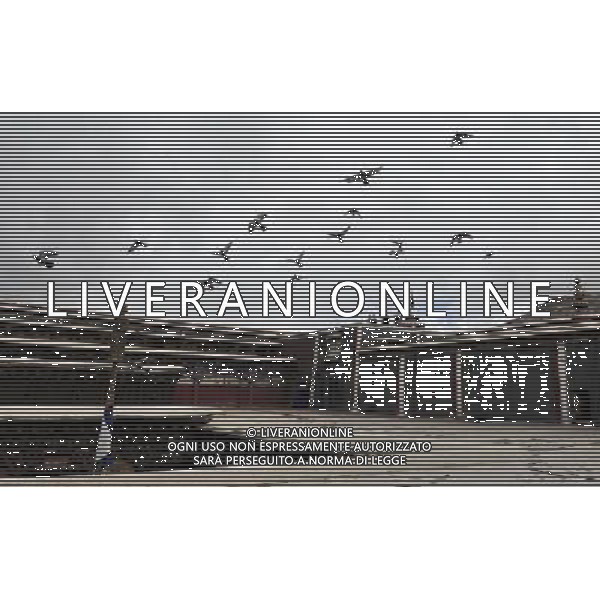 (110526) -- SAGYA, May 26, 2011 () -- Photo taken on May 19, 2011 shows part of the Sagya Monastery in Sagya County, southwest China\'s Tibet Autonomous Region. Sagya Monastery, a monastery of Sagayapa sect of Tibetan Buddhism, is known for housing numerous classical books on Buddhism and precious paintings. It was built in 1073 on the gray clay hill on the northern bank of the Chun Qu River in Sagya County, 149 kilometers from Xigaze Prefecture, and designed in a combined architectural style of China\'s Tibetan, Mogolian and Han ethnic groups. The monastery has been repaired and renovated from June 2002 to August 2009, sponsored by the governmental fund of more than 90 million yuan (13.85 million USD). (/Tao Xiyi) (zn) Il Tempio Tibetano Buddista di Sagya nella regione autonoma del Tibet AG. ALDO LIVERANI SAS ITYALY ONLY *** Local Caption *** .