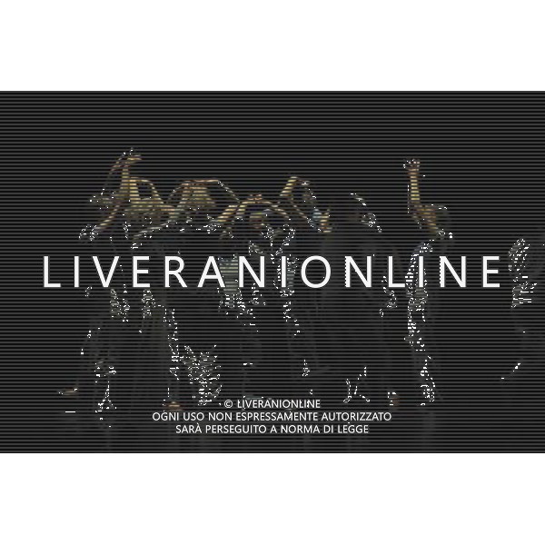 Sum of Parts is a new work from SadlerÕs WellsÕ Creative Learning department, Connect. It brings together the choreographic talents of Sadler\'s Wells\' Associate. Performers range from The Company of Elders to ZooYouth, alongside dancers from local schools, youth clubs and community groups. This diverse company of people, all living or working in London. \'Somma delle parti\'  un nuovo lavoro dal reparto creativo Sadler\'s Wells \'Learning, Connect. Esso riunisce i talenti coreografici di Associate Sadler\'s Wells \'. Performers vanno dalla Societˆ degli Anziani a ZooYouth, accanto a ballerini provenienti da scuole, club giovanili e gruppi della comunitˆ londinese AG. ALDO LIVERANI SAS ITALY ONLY *** Local Caption *** .