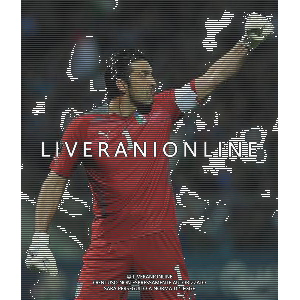 Qualificazioni ai Campionati Europei UEFA EURO 2012 Gruppo C Modena - 03.06.2011 Italia-Estonia Nella Foto: gianluigi buffon esulta dopo il gol di giuseppe rossi /Ph.Vitez-Ag. Aldo Liverani