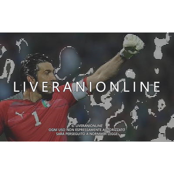 Qualificazioni ai Campionati Europei UEFA EURO 2012 Gruppo C Modena - 03.06.2011 Italia-Estonia Nella Foto:gianluigi buffon esulta dopo il gol di giuseppe rossi /Ph.Vitez-Ag. Aldo Liverani