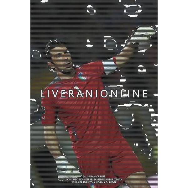 Qualificazioni ai Campionati Europei UEFA EURO 2012 Gruppo C Modena - 03.06.2011 Italia-Estonia Nella Foto:Gianluigi Buffon /Ph.Vitez-Ag. Aldo Liverani