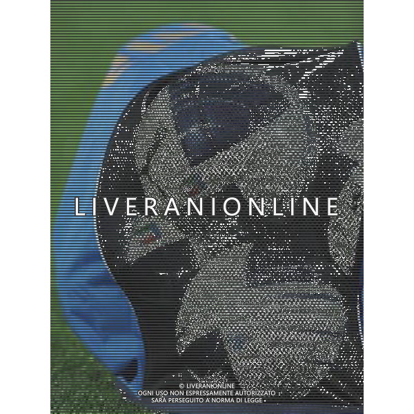 Qualificazioni ai Campionati Europei UEFA EURO 2012 Gruppo C Modena - 03.06.2011 Italia-Estonia Nella Foto:Palloni /Ph.Vitez-Ag. Aldo Liverani