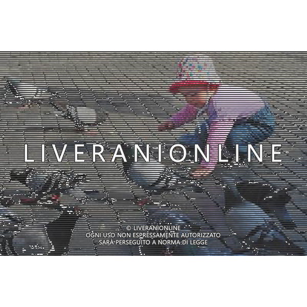 A baby girl is feeding pigeons in piazza Navona, Rome. Photo by NEWSCOM OUT AG ALDO LIVERANI S A S