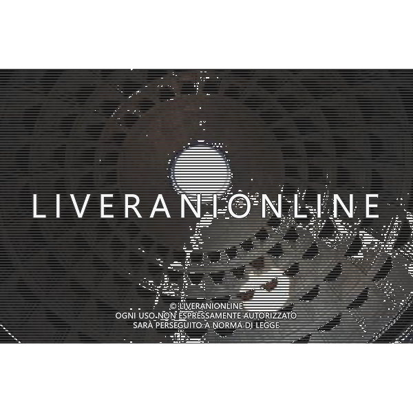 The Pantheon dome, Rome. Photo by NEWSCOM OUT AG ALDO LIVERANI S A S